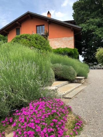 Tenuta La Quassa Ispra Buitenkant foto